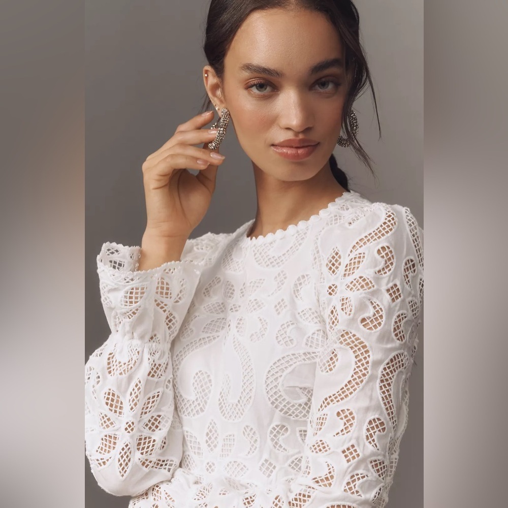 NWT! Anthro Saylor Marilla Long-Sleeve Eyelet Lace Mini Dress - M Petite, Small⏰ - Picture 4 of 6